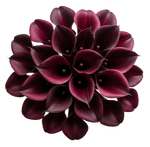 Burgundy Calla Lily Bouquet - Flowers Box London