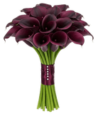 Burgundy Calla Lily Bouquet - Flowers Box London