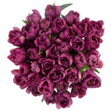 Burgundy Double Tulips Bouquet - Flowers Box London