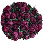 Burgundy Double Tulips Bouquet - Flowers Box London