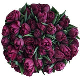 Burgundy Double Tulips Bouquet - Flowers Box London