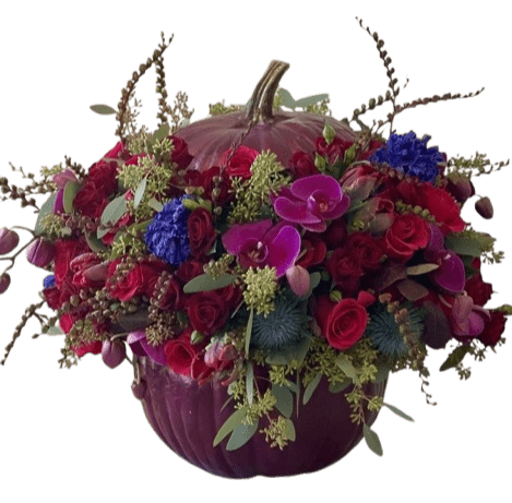Burgundy Luxury Pumpkin Arrangement - Flowers Box London