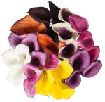 Calla Lily Rainbow Bouquet