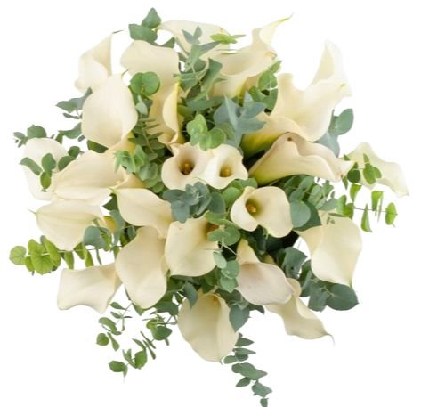 Calla Lily with Eucalyptus Bouquet - Flowers Box London