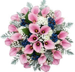 Calla Lily with Gypsophila and Blueberries Bouquet - Flowers Box London