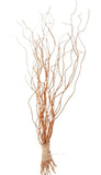 Carly Willow - Salix Golden Curls: A Stunning Garden Accent - Flowers Box London
