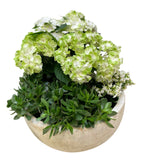 Ceramic Bowl Pot of Hydrangea and Assorted Plants - Flowers Box London