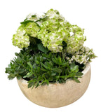 Ceramic Bowl Pot of Hydrangea and Assorted Plants - Flowers Box London
