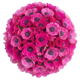 Cerise Anemone Bouquet - Flowers Box London