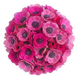 Cerise Anemone Bouquet - Flowers Box London