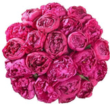 Cerise Peonies Bouquet - Flowers Box London