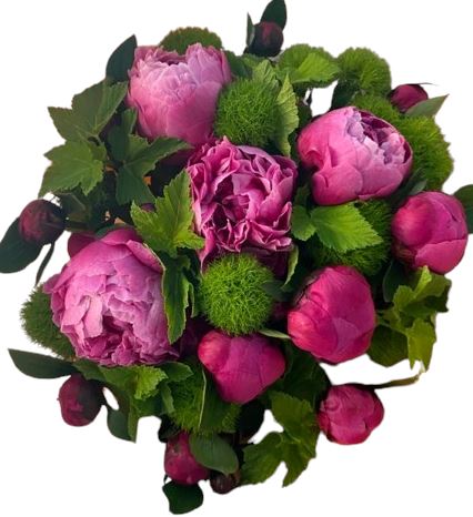 Cerise Peony and Green Trick Carnation Bouquet