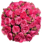 Cerise Piano Peony Spray Rose Bouquet - Flowers Box London