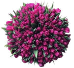 Cerise Tulips Bouquet - Flowers Box London