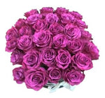 Charm Bluberry Roses Box - Flowers Box London