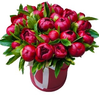 Charm Red Peonies Box