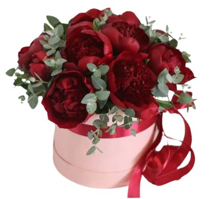 Charm Red Peonies with Eucalyptus Box