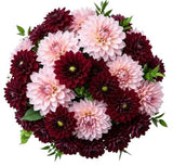 Charming Bouquet of Burgundy and Pink Dahlia - Flowers Box London