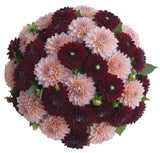 Charming Bouquet of Burgundy and Pink Dahlia - Flowers Box London