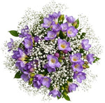 Charming Bouquet of Freesias and Gypsophila - Flowers Box London