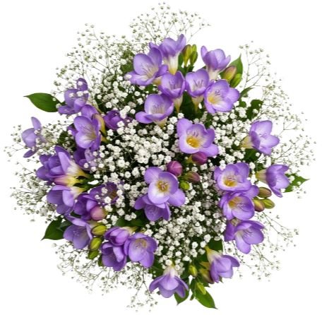 Charming Bouquet of Freesias and Gypsophila - Flowers Box London
