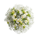 Charming Bouquet of Freesias and Gypsophila