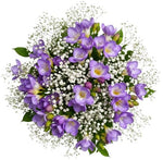 Charming Bouquet of Freesias and Gypsophila