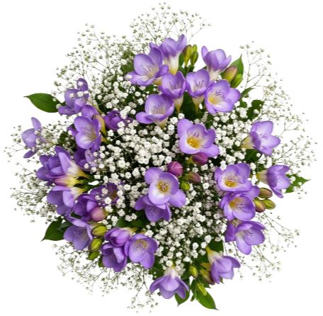 Charming Bouquet of Freesias and Gypsophila