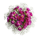 Charming Bouquet of Freesias and Gypsophila