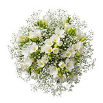 Charming Bouquet of Freesias and Gypsophila