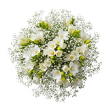 Charming Bouquet of Freesias and Gypsophila