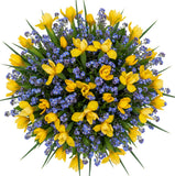 Charming Bouquet of Iris with Forget Me Not