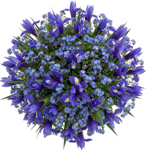 Charming Bouquet of Iris with Forget Me Not