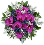 Charming Bouquet of Phalaenopsis Orchids with Gypsophila and Berries - Flowers Box London