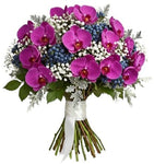 Charming Bouquet of Phalaenopsis Orchids with Gypsophila and Berries - Flowers Box London