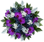 Charming Bouquet of Phalaenopsis Orchids with Gypsophila and Berries - Flowers Box London