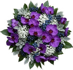 Charming Bouquet of Phalaenopsis Orchids with Gypsophila and Berries - Flowers Box London