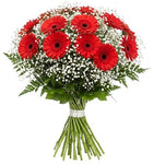 Charming Bouquet of Red Gerberas and Gypsophila