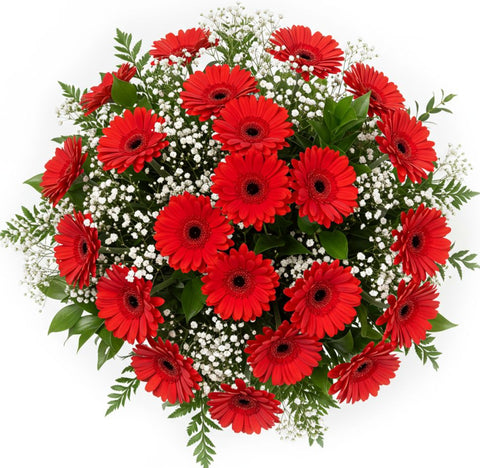 Charming Bouquet of Red Gerberas and Gypsophila