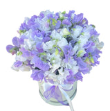 Charming Box of White and Lavender Sweet Pea - Flowers Box London