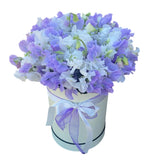 Charming Box of White and Lavender Sweet Pea - Flowers Box London