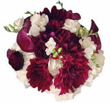 Charming Burgundy Dahlia with White Bouquet - Flowers Box London