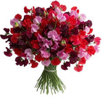 Charming Shades of Red and Pink Sweet Peas Bouquet