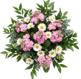 Charming Stock with Daisy Leucanthemum Bouquet - Flowers Box London