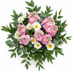 Charming Stock with Daisy Leucanthemum Bouquet - Flowers Box London