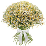 Cheerful Tanacetum Bouquet - Flowers Box London