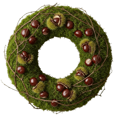 Chestnut and Twigs Moss Door Wreath - Flowers Box London