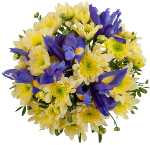 Chrysanthemum and Blue Iris Bouquet