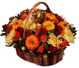 Chrysanthemum and Pumpkin Basket - Flowers Box London