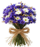Chrysanthemum Daises and Cornflowers Bouquet - Flowers Box London